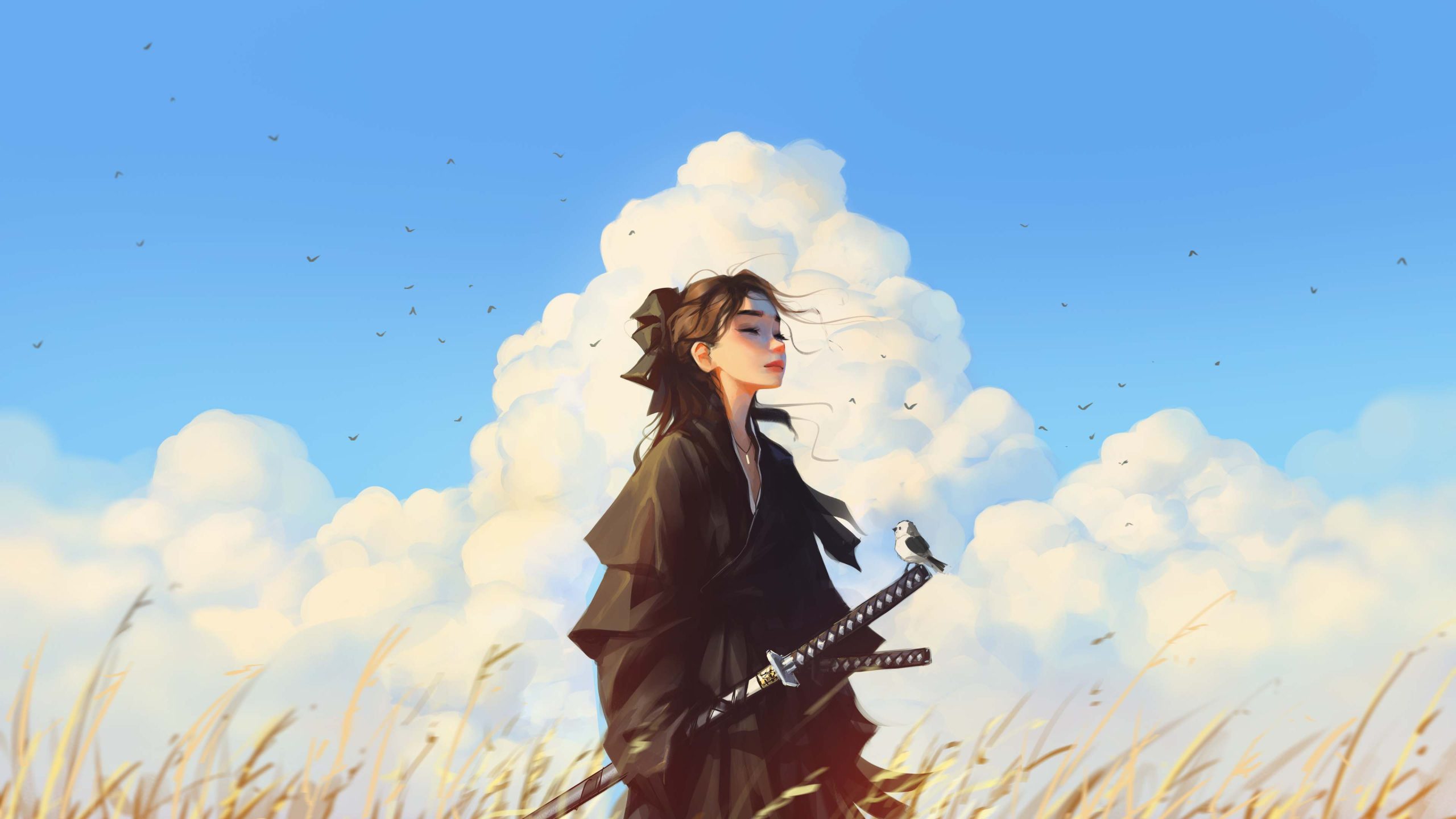 boxmoe_header_banner_img